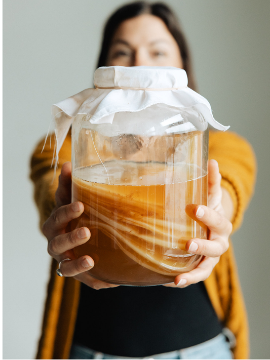 Kombucha & Water Kefir Workshop - Wednesday, October 8