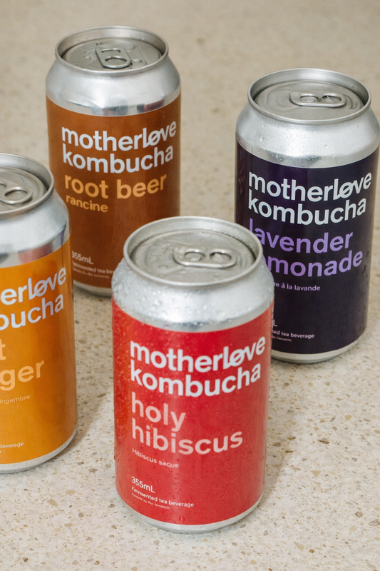 Kombucha - 6 x 355ml cans Wholesale