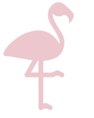 Flamingo Studio Rental