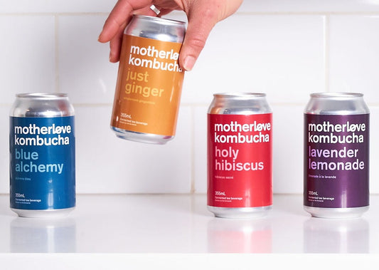 Kombucha - 6 x 355ml cans Retail